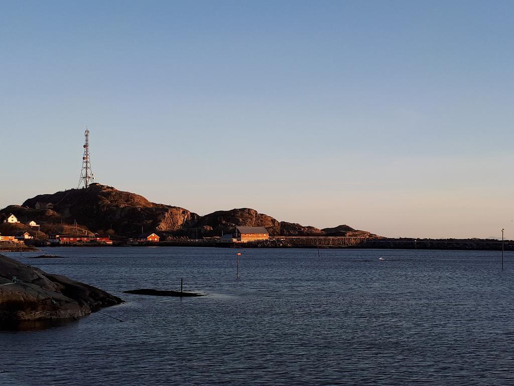 Apartamento Sjohaug Rorbu Moskenes Exterior foto